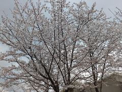 -堤角公园