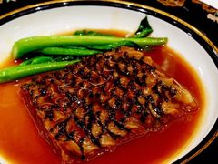 -西郊5号·Maggie 5