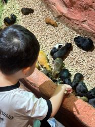-Zoolung Zoolung动物主题公园(海信广场店)