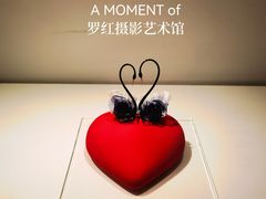 -罗红摄影艺术馆