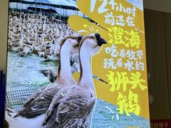 -陆记鹅庄·潮汕菜·狮头鹅(大仟里店)