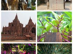 -莫里热带雨林景区