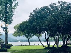 -杭州西湖柳莺里酒店·闻莺厅