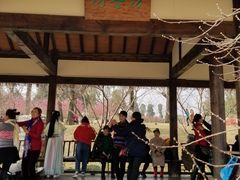 -秀丽东方