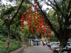 -晓港公园