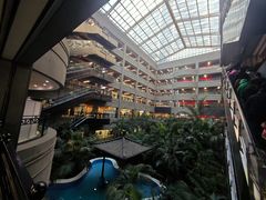 -黑龙江中医药大学附属第一医院