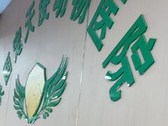 -天使宠物医院·犬猫分诊(彩虹店)