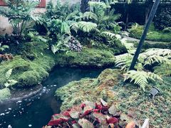 -Chom Cafe and Restaurant