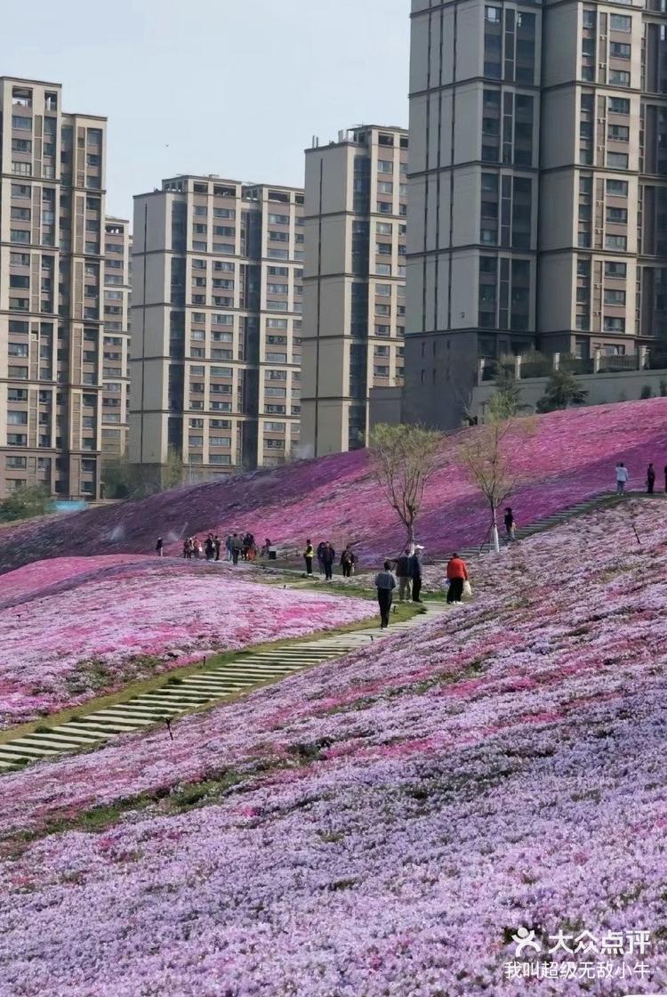 龙洞花海