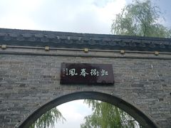 -扬州大运河文化旅游度假区·盆景园