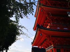 -有栖山 清光院 清水寺