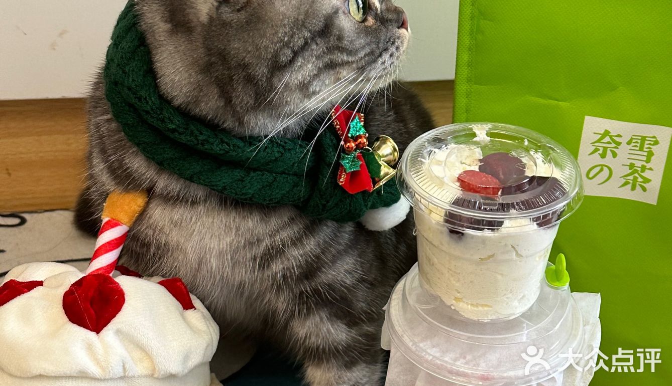 奈雪🎄车厘子圣诞树！送的宠物围脖实在太可爱啦