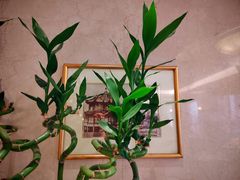 -国际饭店·原点咖啡吧ORIGIN CAFE&BAR