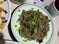 -大鸭梨烤鸭店(花园村店)
