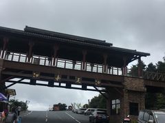 -江南天池