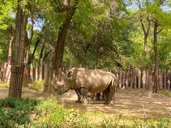 -北京野生动物园