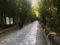 -蝴蝶泉公园