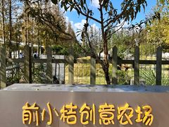 -前小桔亲子创意农场·草莓采摘·露营烧烤