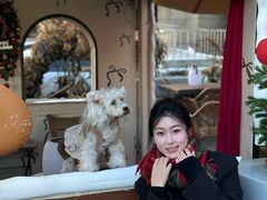 -猫姐私人烘培定制