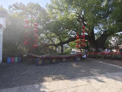 -新安江山水画廊风景区
