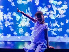 -海合安成都极地海洋公园