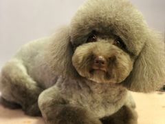 -纳吉亚猫专科动物诊疗中心(蒋宅口分院)