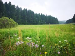 -塞罕坝国家级自然保护区