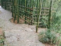 -石塘人家