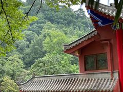 -黔灵山公园