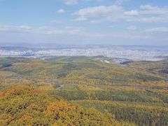 -帽儿山国家森林公园