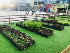 -大族广场Mall&More