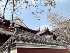 -长春观
