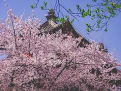 -西安青龙寺遗址景区