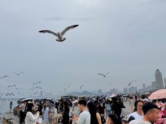 -星海广场