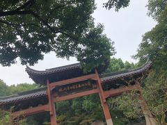 -杭州半山国家森林公园