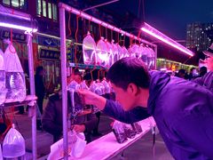 -华声天桥民俗文化园