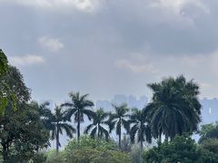 -广州莲花山旅游区