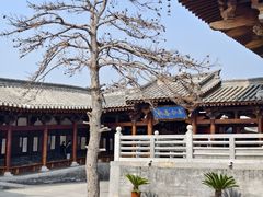 -晋祠公园