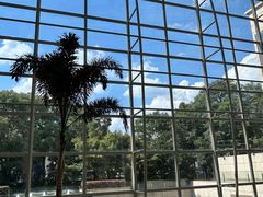 -上海外滩茂悦大酒店