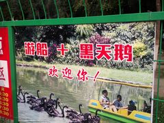 -长白岛森林公园