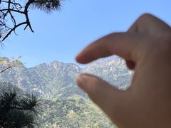 -泰山风景名胜区