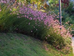 -宁波儿童公园(鄞州区)