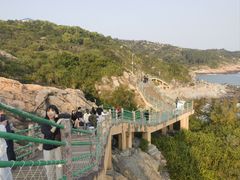 -广东惠东海龟国家级自然保护区