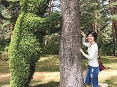 -美人松苑