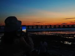 -宝安西湾红树林湿地公园