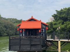 -侨美·唐荔园·40年地道粤菜