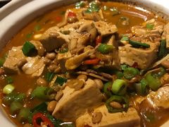 腊八豆煨豆腐-又一福烤鸭·北京菜(东四店)