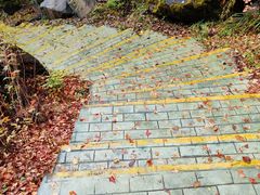 -叠溪松坪沟景区