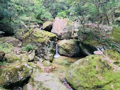-牛背梁国家森林公园
