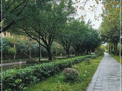 -大渡口区义渡公园